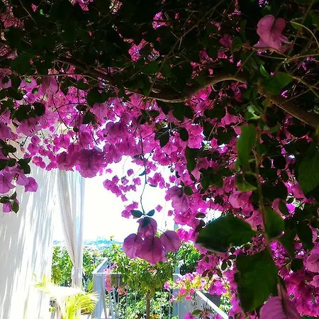 Pensjonat Dreams La Spezia