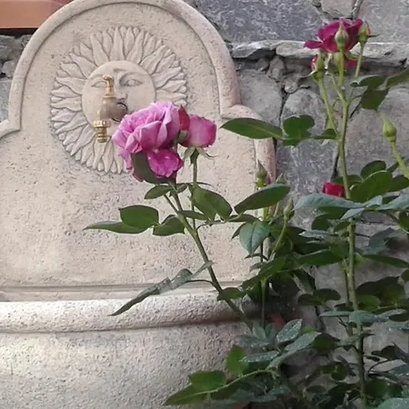 Dreams 招待所 斯培西亚