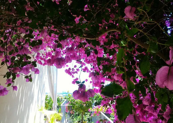 Penzion Dreams La Spezia